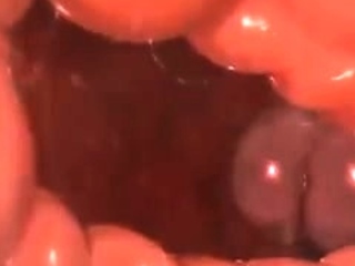 Mix of Hentai movs from Hentai Niches